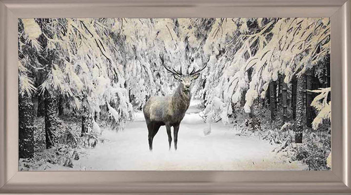 AN770 Dear on winter snow lll