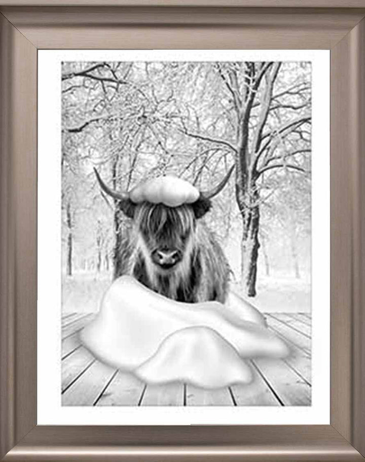 AN750-B&W Highland cow on Winter Snow l