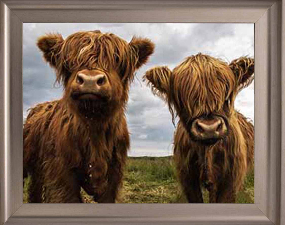 AN753 Twins Red Cow