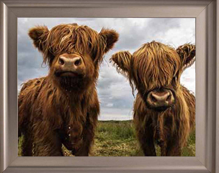 AN753 Twins Red Cow
