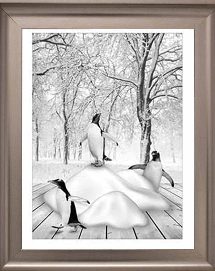 AN746-B&W Pandas on Winter Snow l