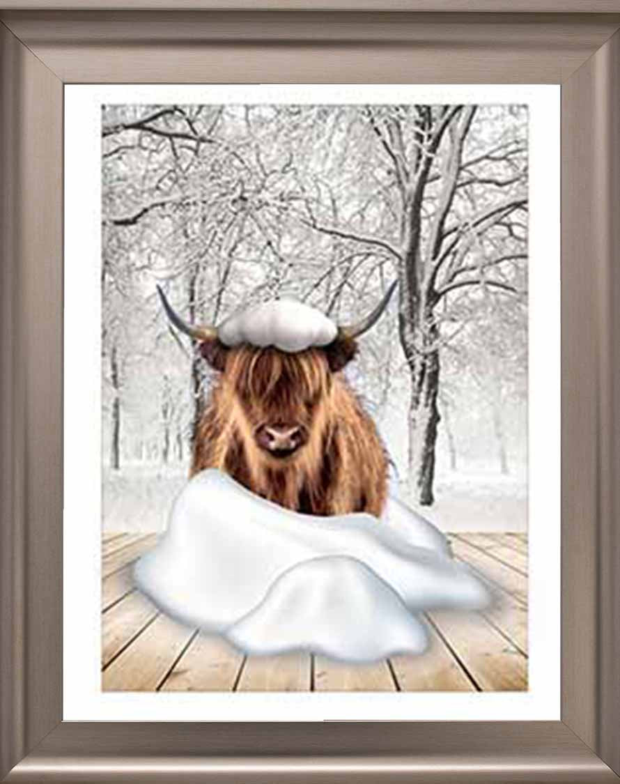 AN750-C Highland cow on Winter Snow ll
