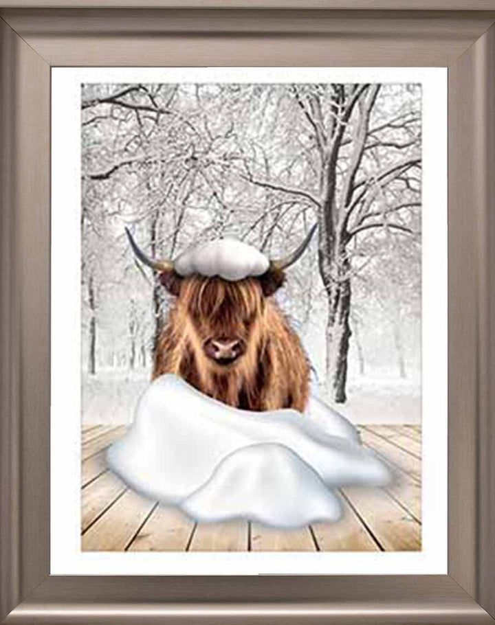 AN750-C Highland cow on Winter Snow ll