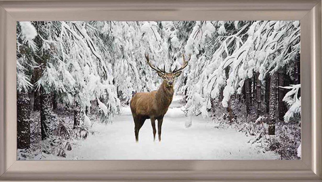 AN756 Stag in the Winter Snow