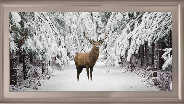 AN756 Stag in the Winter Snow