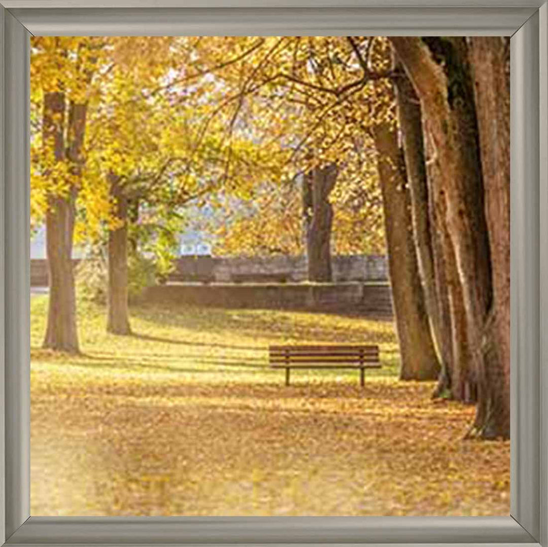 LS352 AUTUMN PARK YELLOW TREE