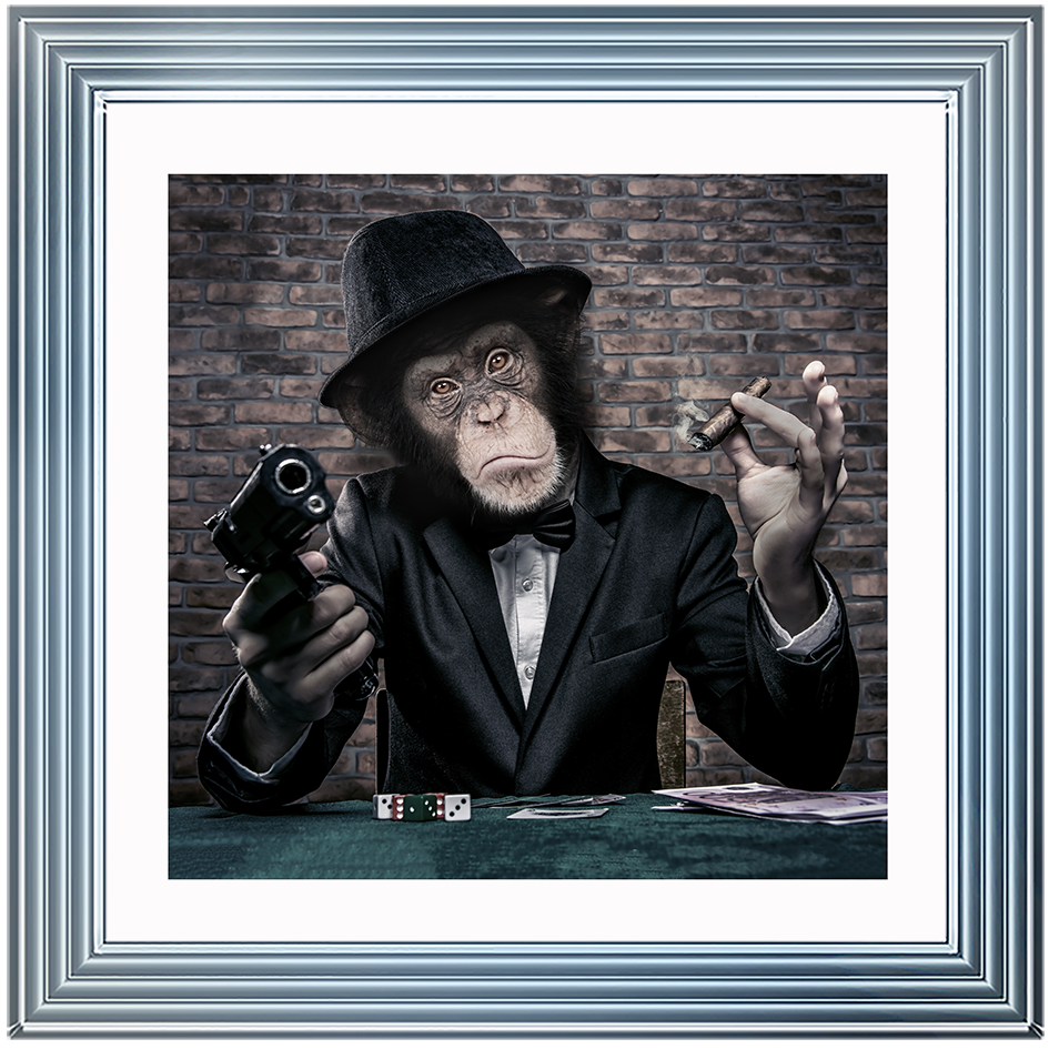 AN178  Gangster Chimp