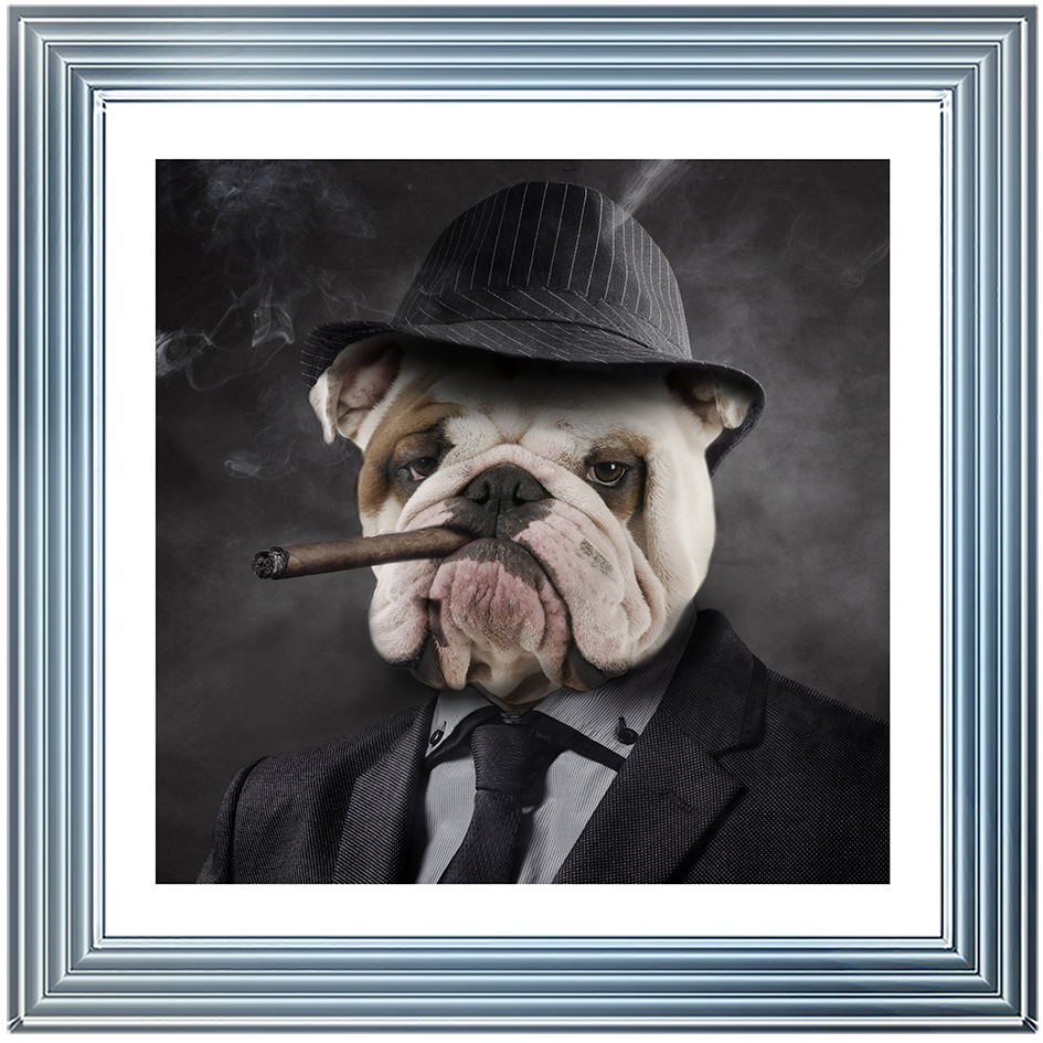 AN183 Gangster Bulldog (border)