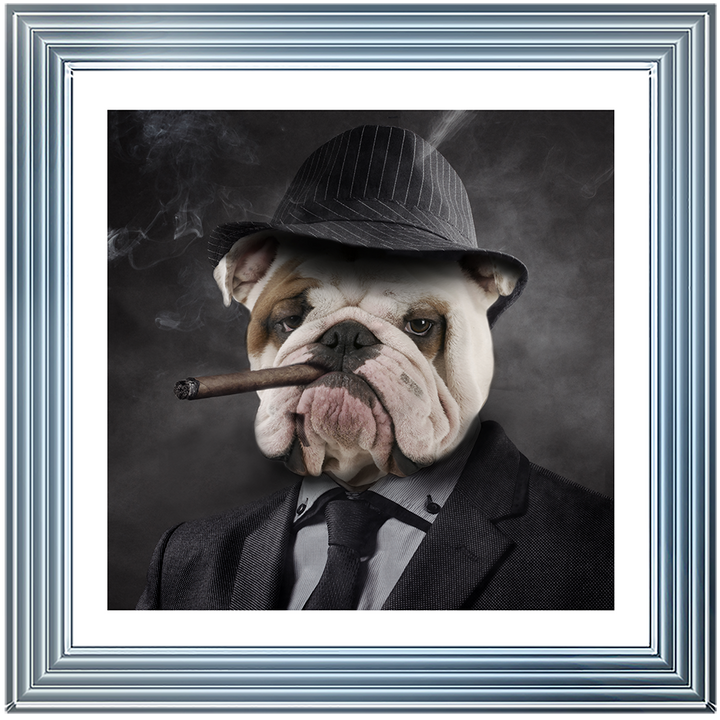 AN183 Gangster Bulldog (border)