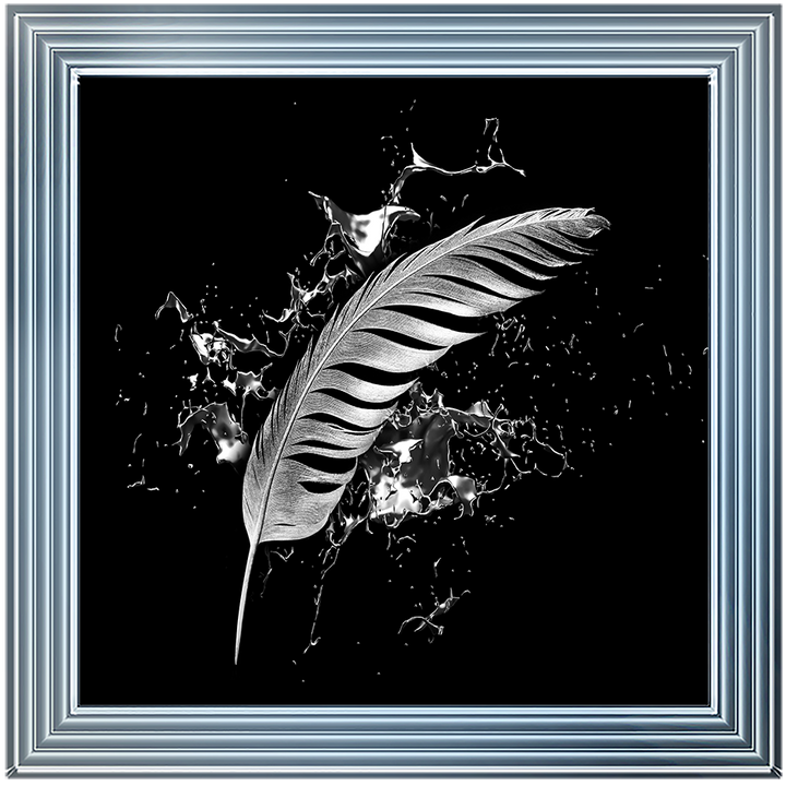 Silver Feather