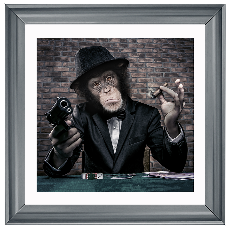 AN178  Gangster Chimp