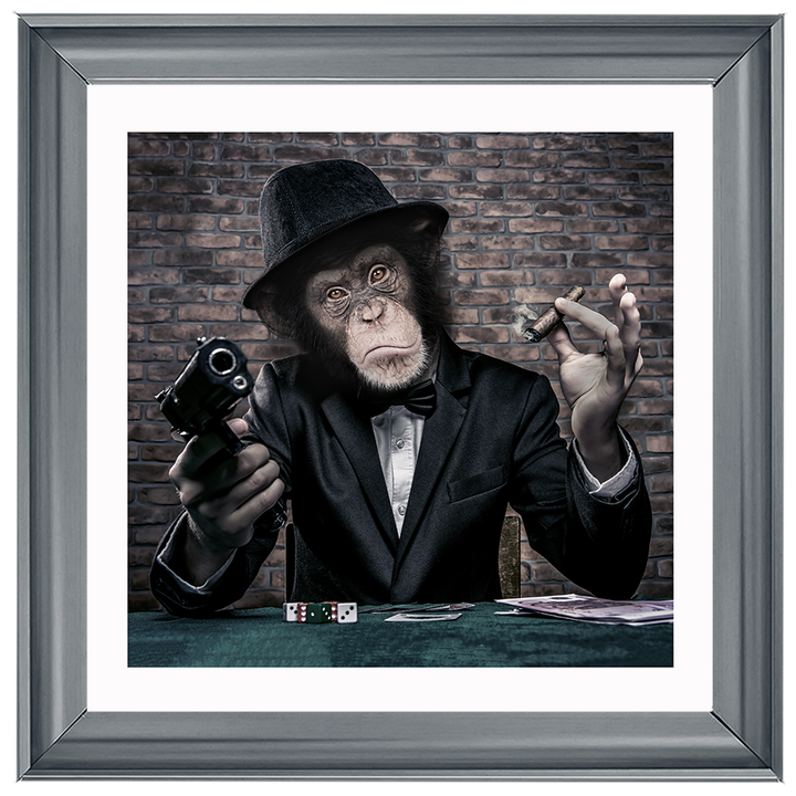 AN178  Gangster Chimp