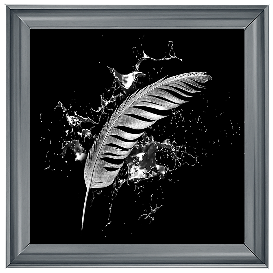 Silver Feather