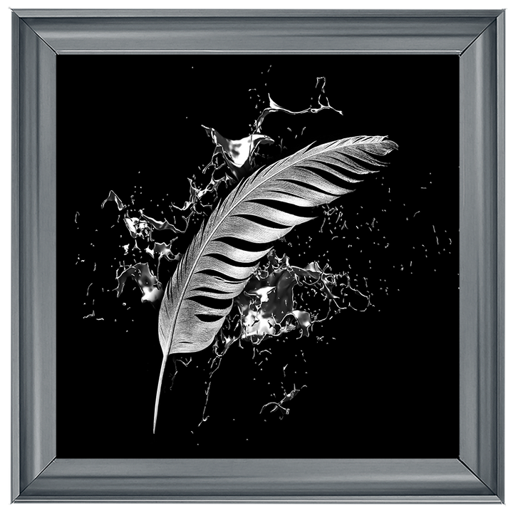 Silver Feather