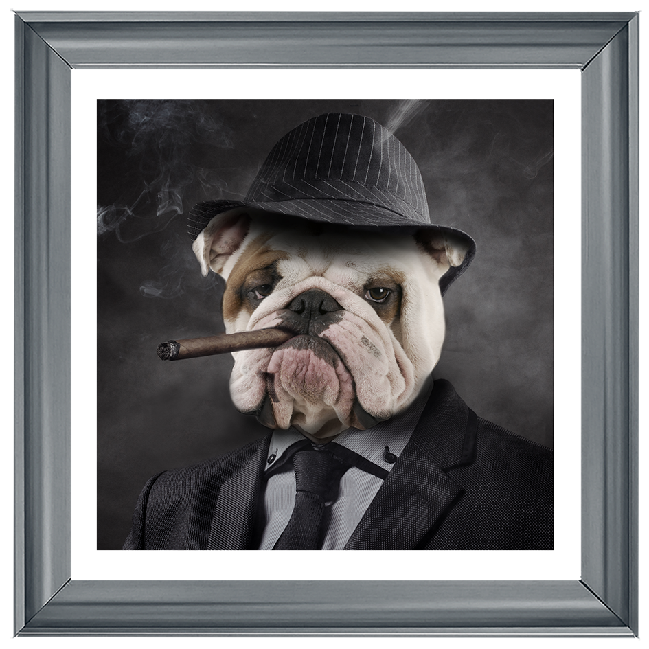 AN183 Gangster Bulldog (border)