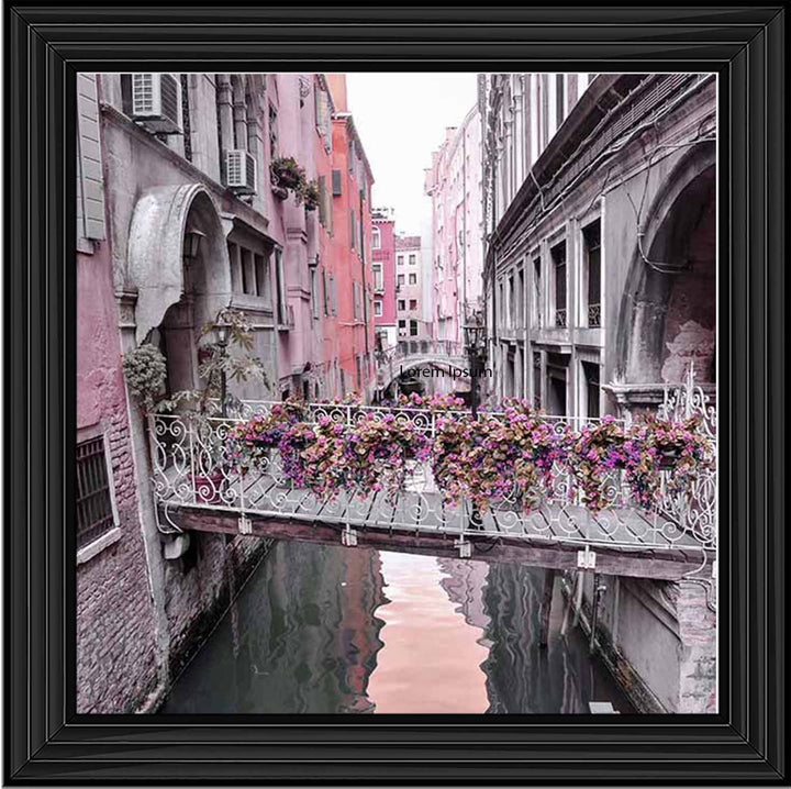 CY276 Venice