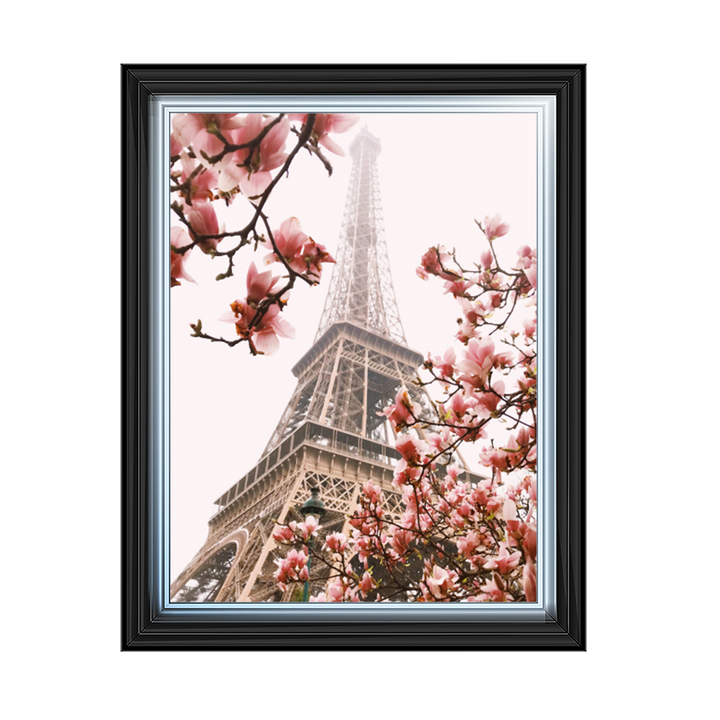 CY398 Blossoms In Paris