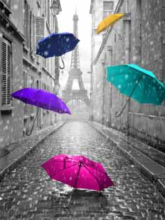 CY428 Multi coloured Umbrella l