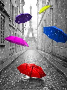 CY429 Multi coloured Umbrella ll