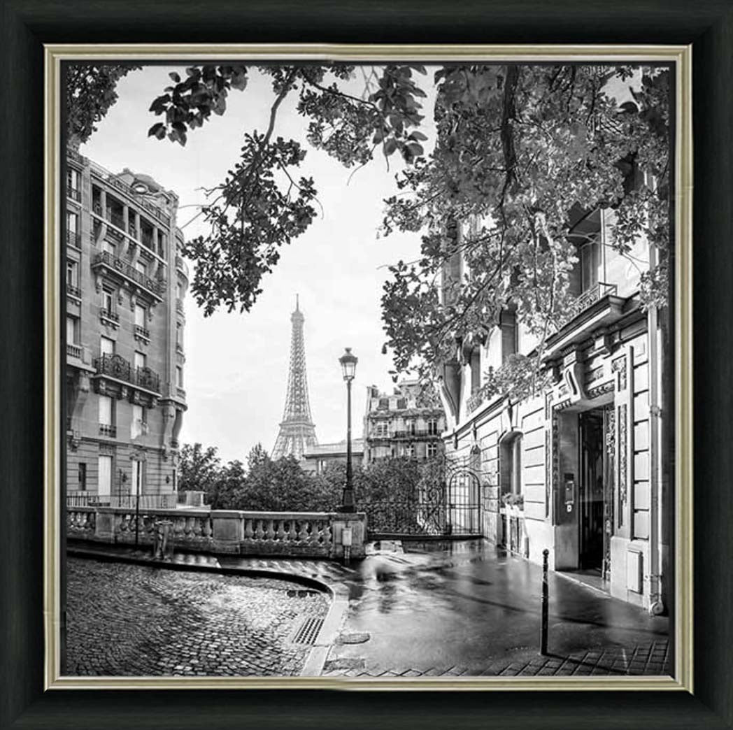CY561 Paris City B&W