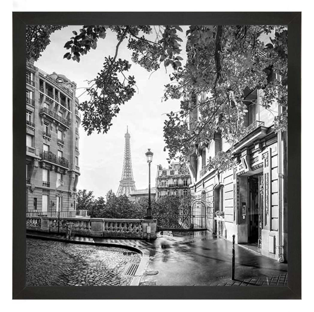 CY561 Paris City B&W