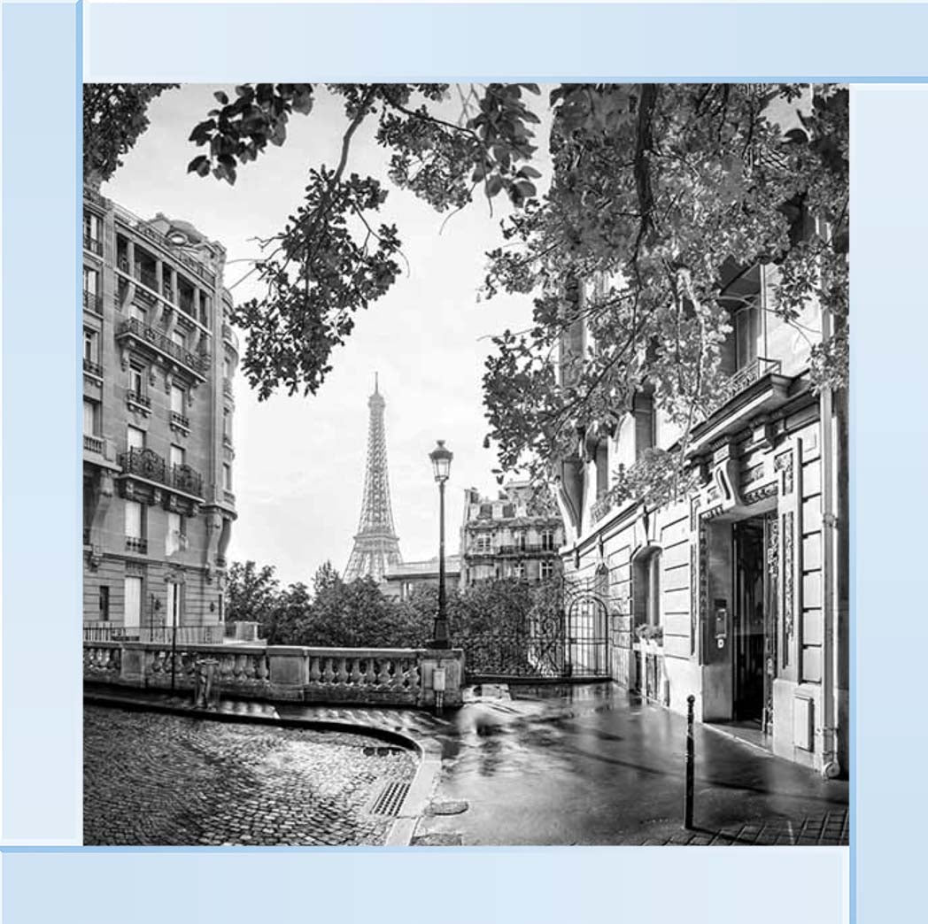 CY561 Paris City B&W