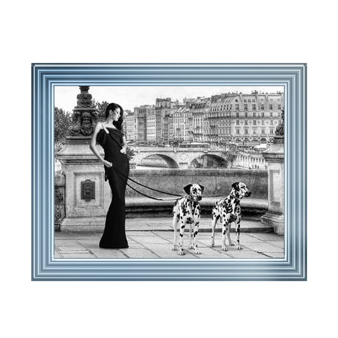 FG016 Dalmatians