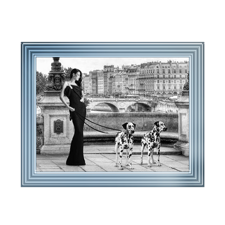 FG016 Dalmatians