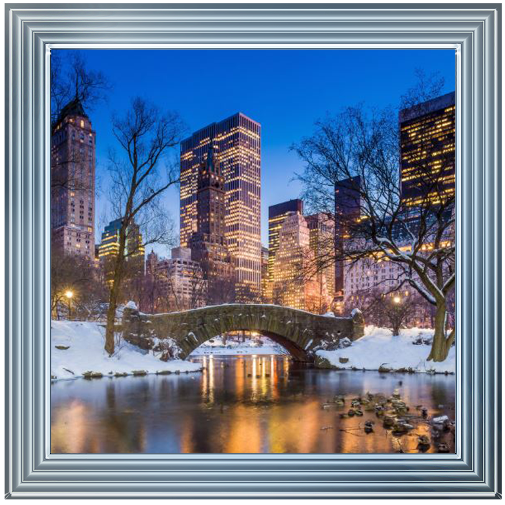 C568 Winter City