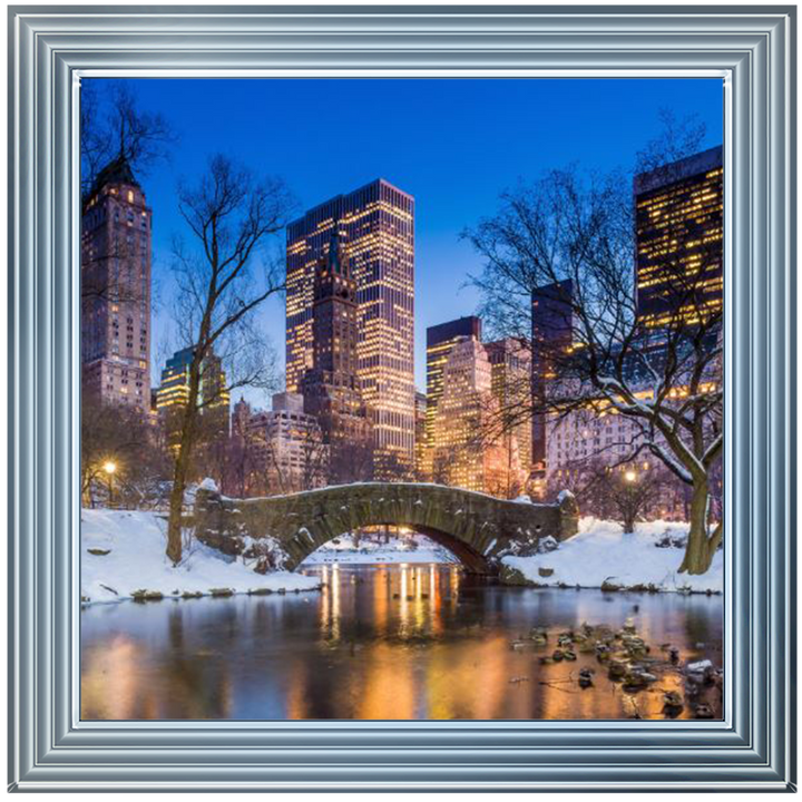 C568 Winter City
