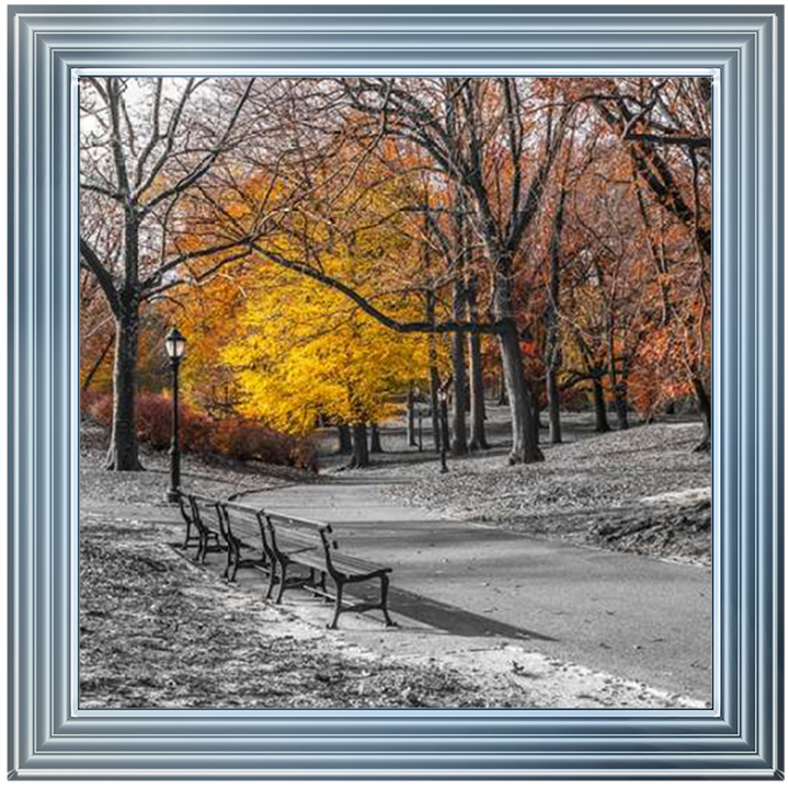 FTBR-1631 New York Yellow Trees in Central Park Assaf Frank