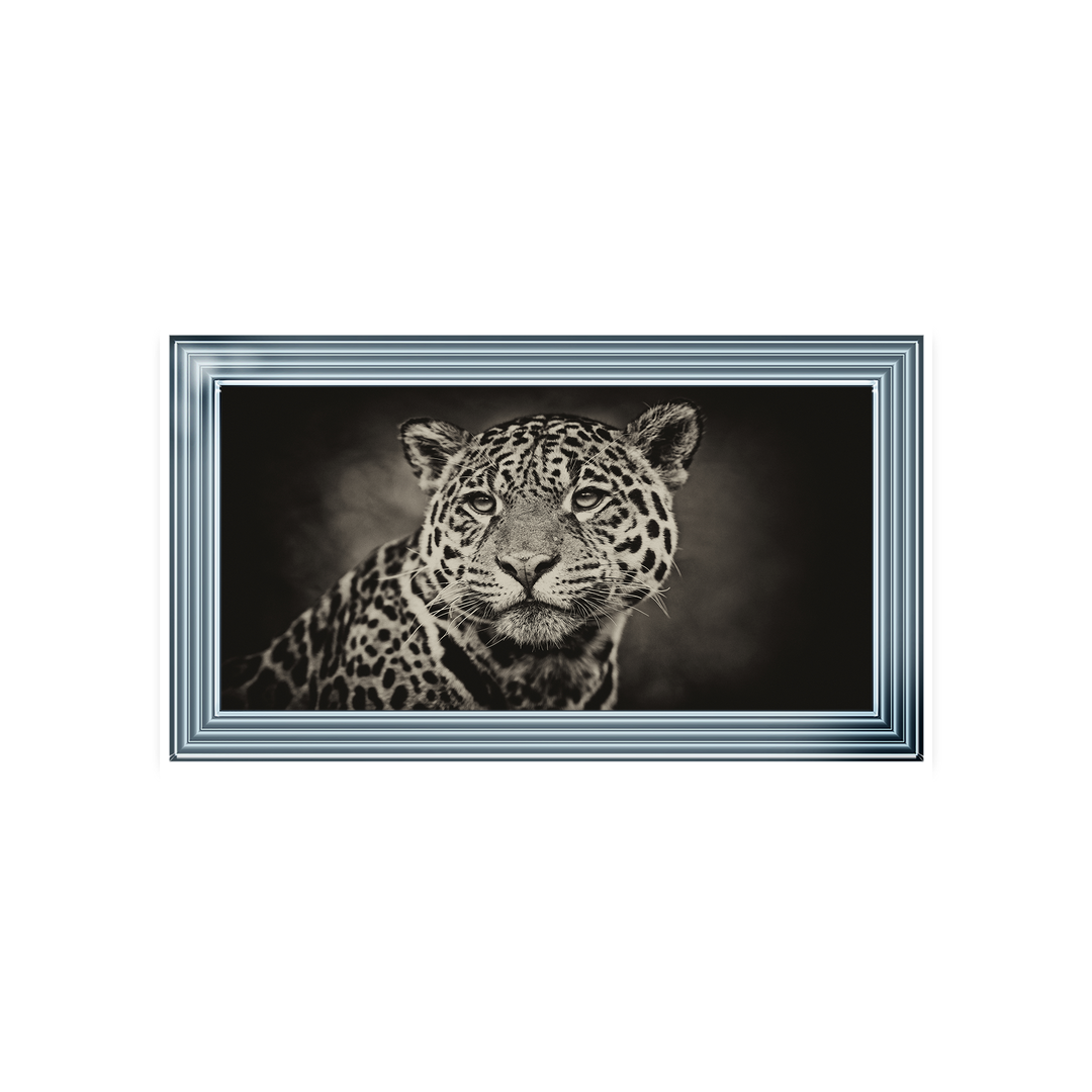 Cheetah in black and white 2