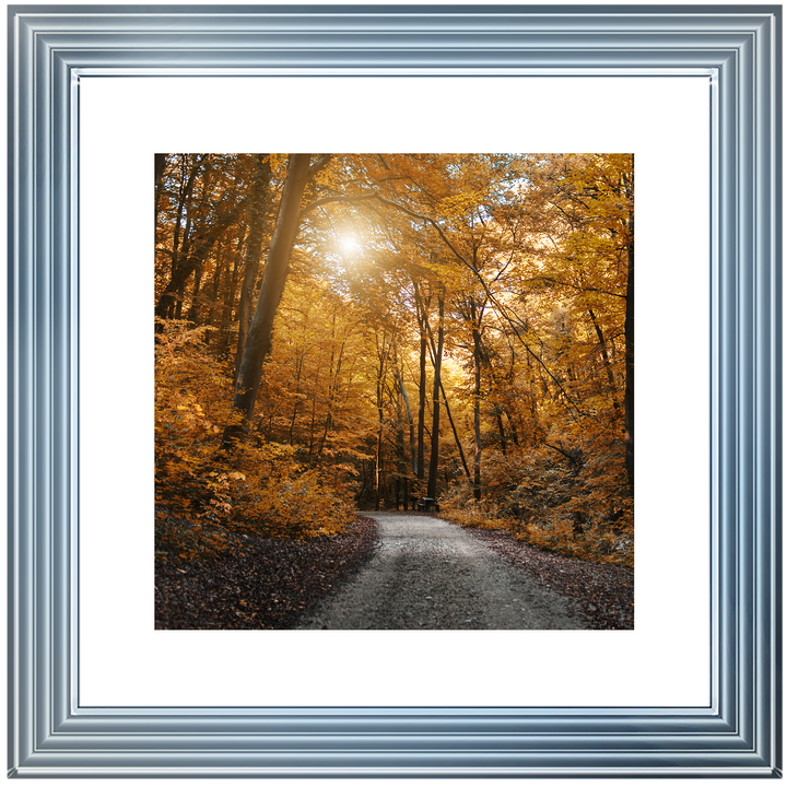 Walkway through yellow leafs