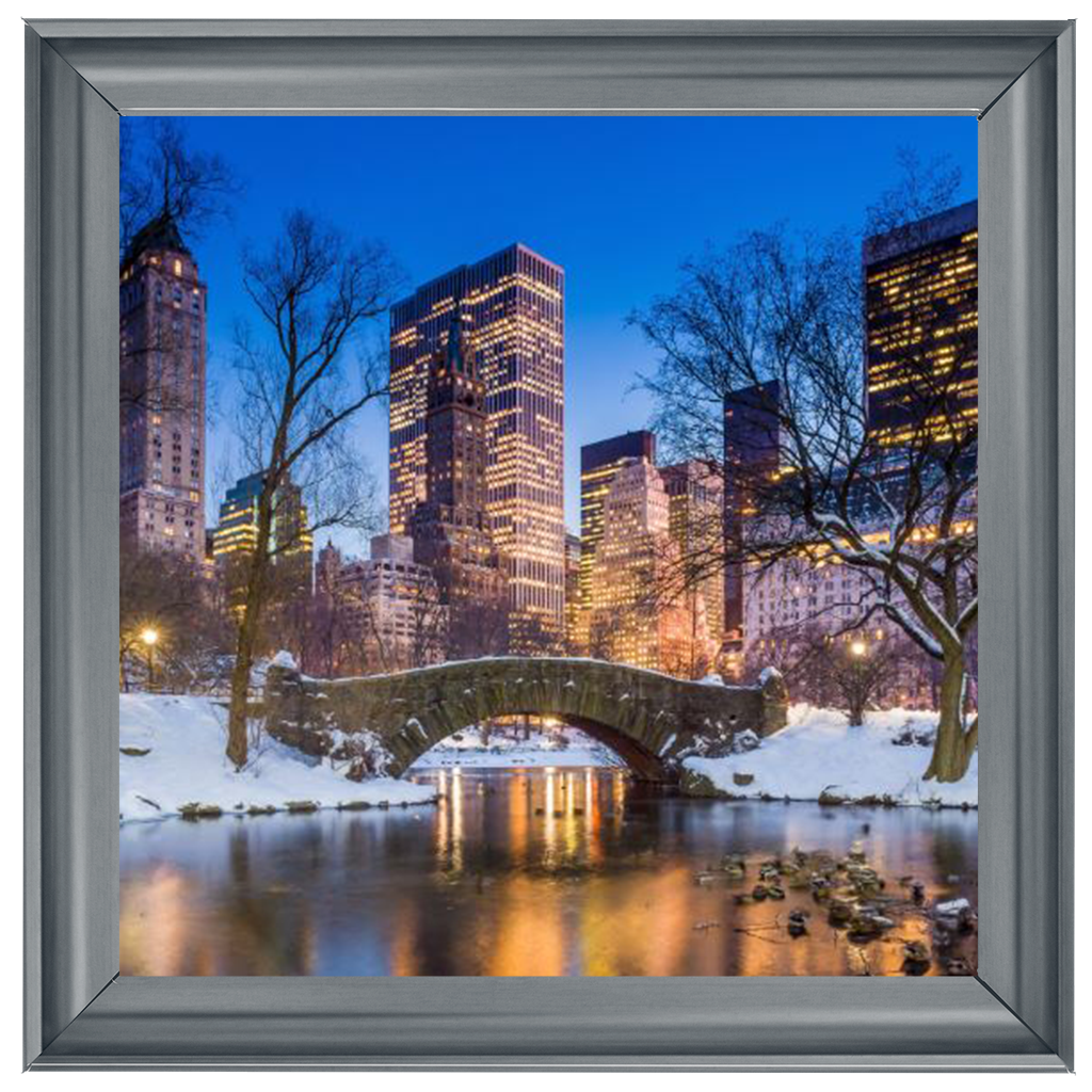 C568 Winter City