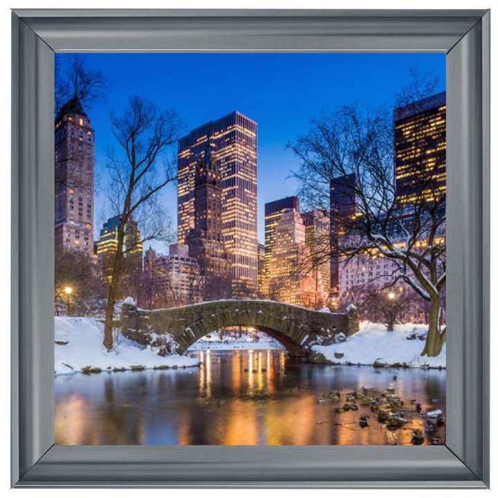 C568 Winter City