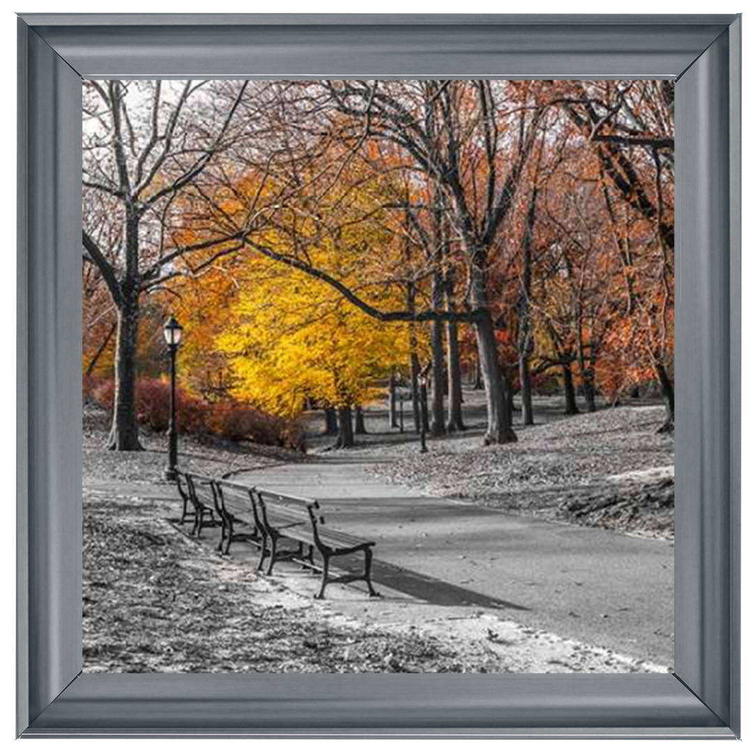 FTBR-1631 New York Yellow Trees in Central Park Assaf Frank