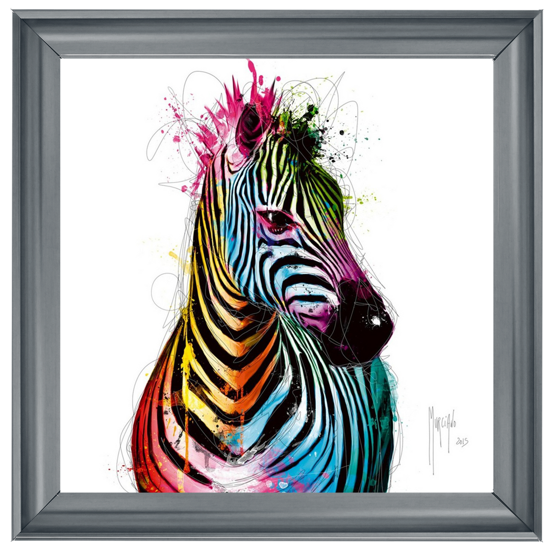 MD013 Colourful Zebra by Murciano