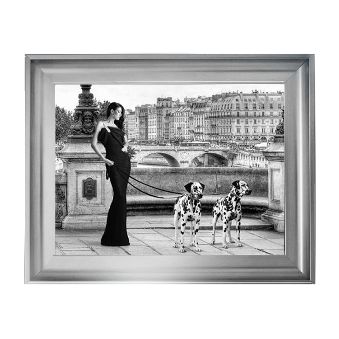 FG016 Dalmatians