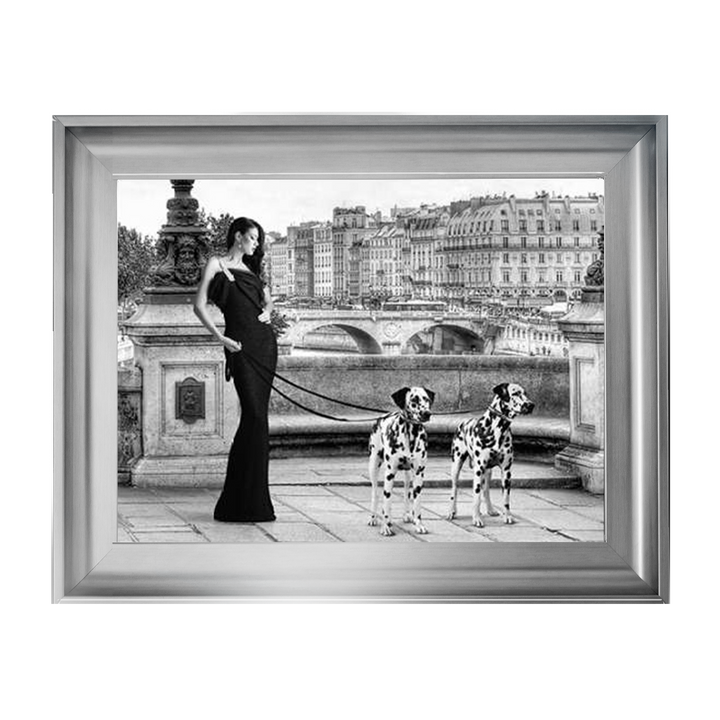 FG016 Dalmatians