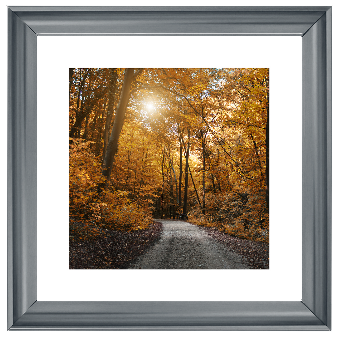 Walkway through yellow leafs