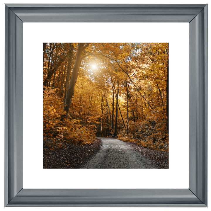 Walkway through yellow leafs