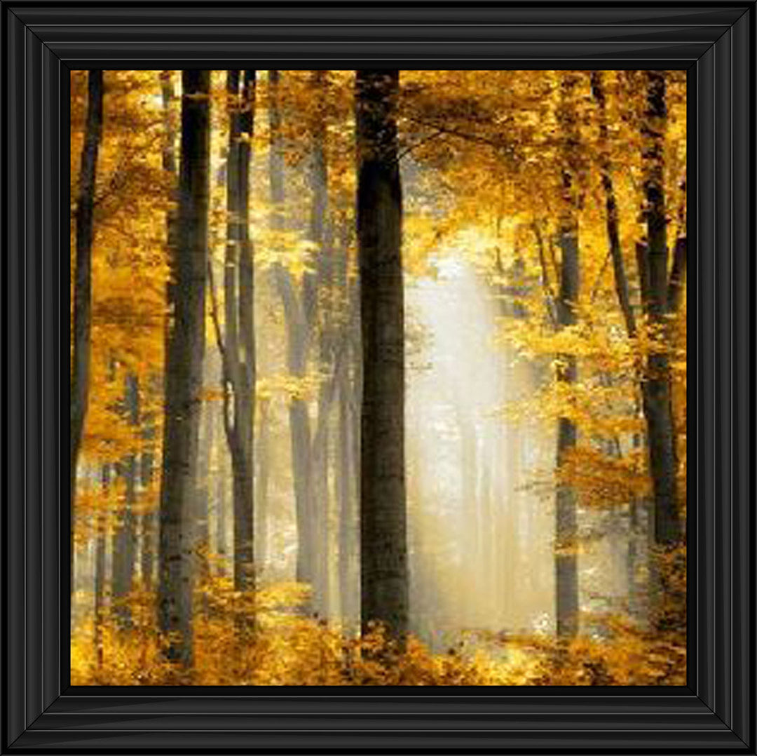 Trees in Autumn Yellow Leaves