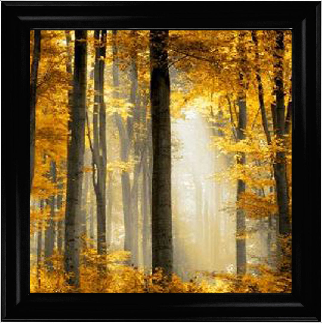 Trees in Autumn Yellow Leaves