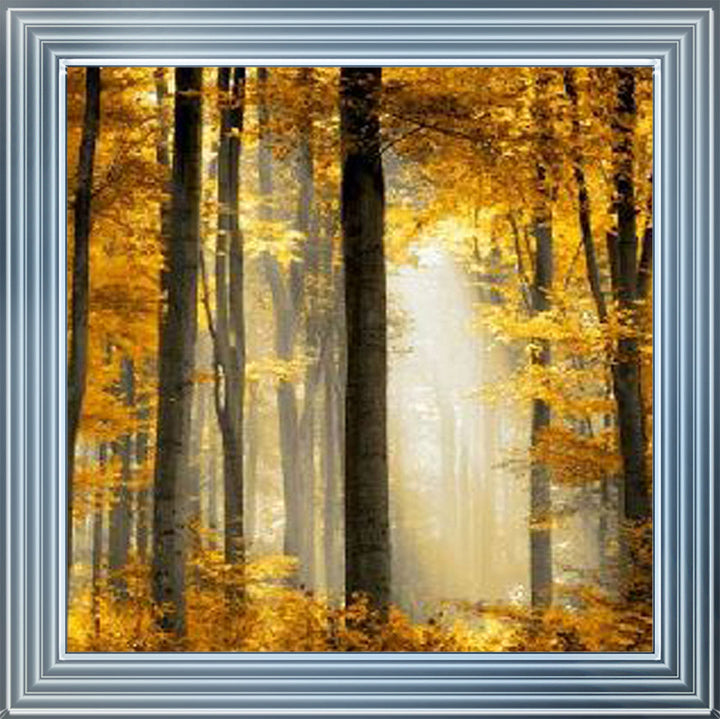 Trees in Autumn Yellow Leaves