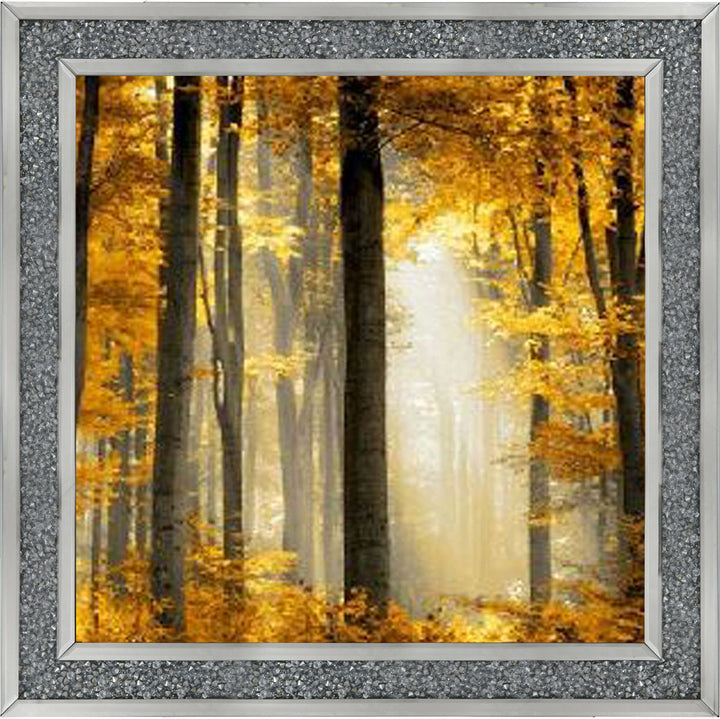 Trees in Autumn Yellow Leaves