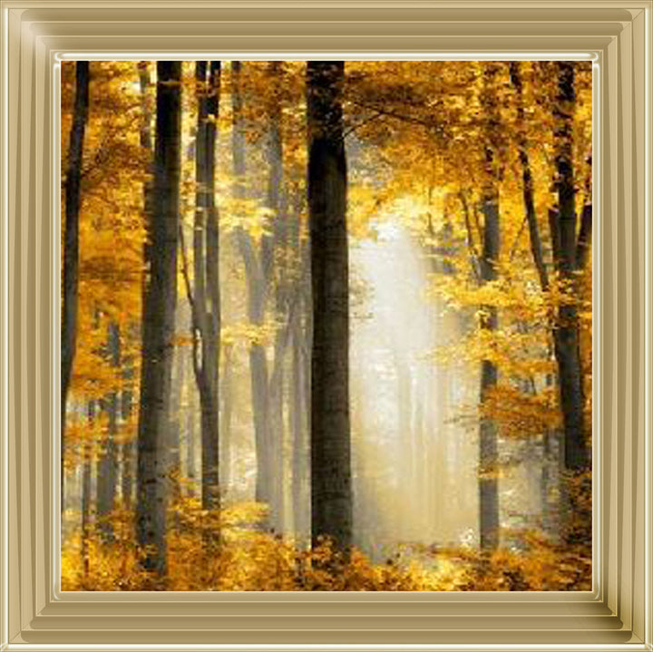 Trees in Autumn Yellow Leaves