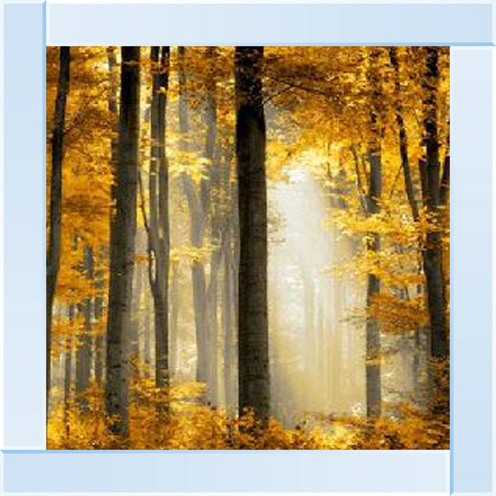 Trees in Autumn Yellow Leaves