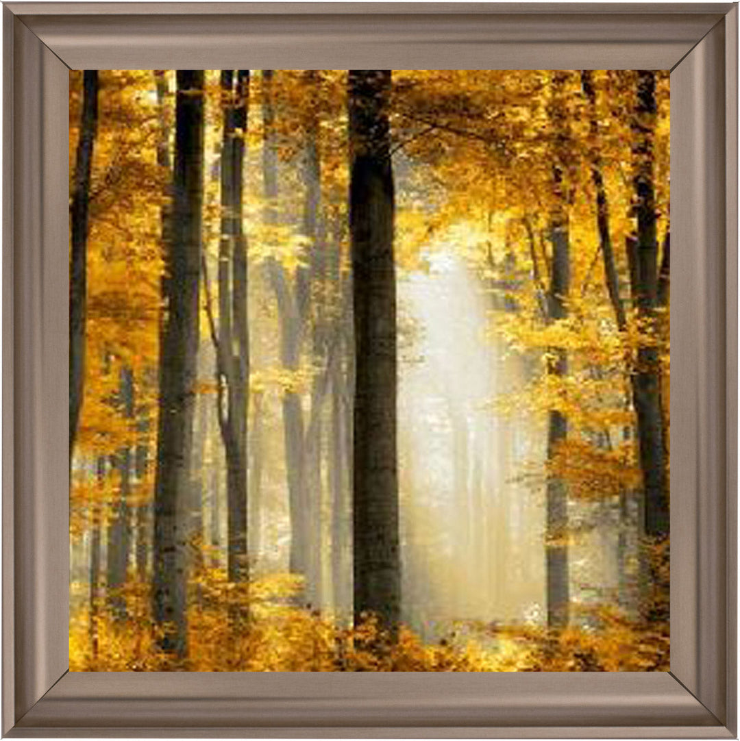 Trees in Autumn Yellow Leaves