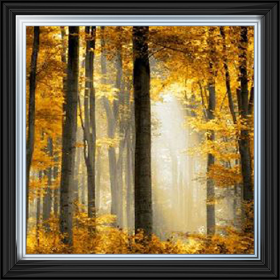 Trees in Autumn Yellow Leaves