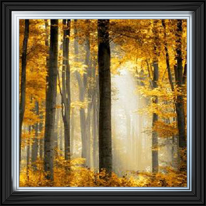 Trees in Autumn Yellow Leaves